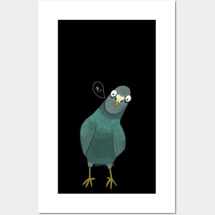 Funny Pigeon Posters and Art
